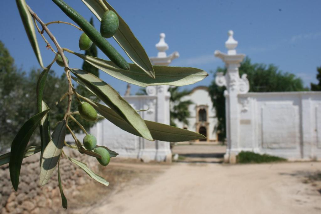 Masseria Maccarone Fasano Extérieur photo