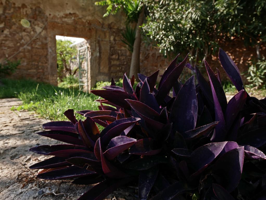 Masseria Maccarone Fasano Extérieur photo